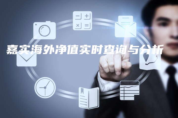 嘉实海外净值实时查询与分析