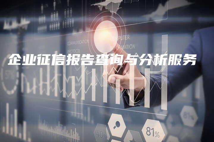 企业征信报告查询与分析服务