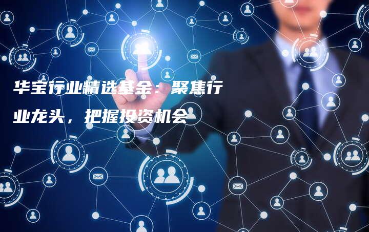 华宝行业精选基金：聚焦行业龙头，把握投资机会