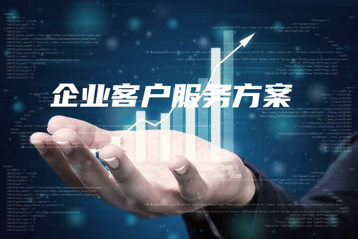 企业客户服务方案