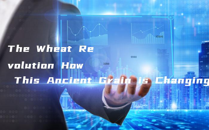 The Wheat Revolution How This Ancient Grain is Changing the World